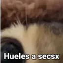 স্টিকার