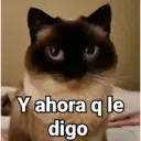 স্টিকার