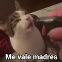 স্টিকার