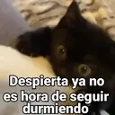 স্টিকার