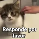 স্টিকার