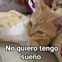 স্টিকার