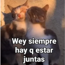 স্টিকার