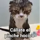 স্টিকার