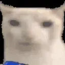 ස්ටිකර්