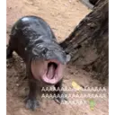 ஸ்டிக்கர்