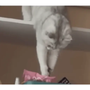 ஸ்டிக்கர்