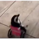 స్టికర్