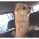 స్టికర్