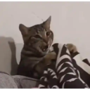 స్టికర్