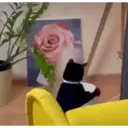 స్టికర్