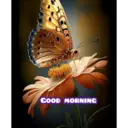 స్టికర్