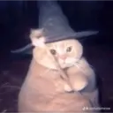 สติกเกอร์