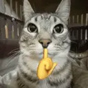 สติกเกอร์