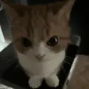 สติกเกอร์