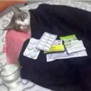 สติกเกอร์