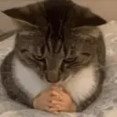 สติกเกอร์