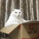 สติกเกอร์