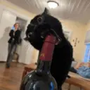 สติกเกอร์