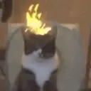 สติกเกอร์