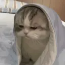 สติกเกอร์