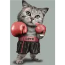 ស្ទីកเกอร์