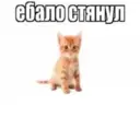 ஸ்டிக்கர்