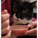 স্টিকার