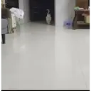 স্টিকার