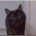 স্টিকার