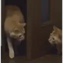 স্টিকার