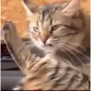 স্টিকার