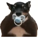 ស្ទីកเกอร์