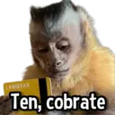 ស្ទីកเกอร์