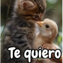 Կպչուն պիտակ