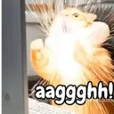 Կպչուն պիտակ