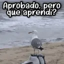 స్టికర్