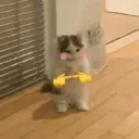 ស្ទីកเกอร์