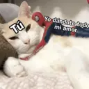 ស្ទីកเกอร์