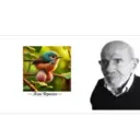 ស្ទីកเกอร์