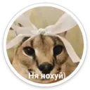 ស្ទីកเกอร์