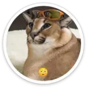 ស្ទីកเกอร์