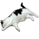 ស្ទីកเกอร์