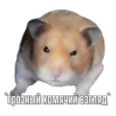 স্টিকার