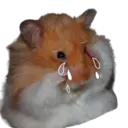 স্টিকার