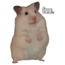 স্টিকার