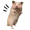 স্টিকার