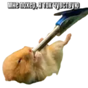 স্টিকার