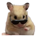 স্টিকার