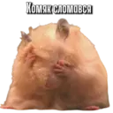 স্টিকার